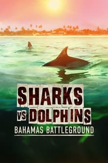 Sharks vs Dolphins: Bahamas Battleground