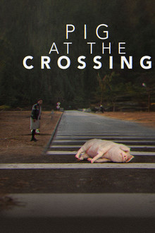 Pig at the Crossing
