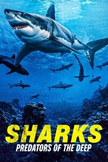 Sharks: Predators of the Deep