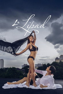 L3: To Fly