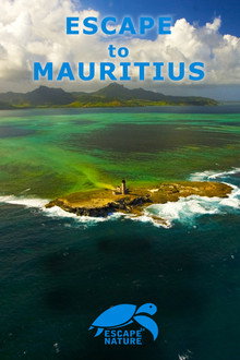 Escape to Mauritius