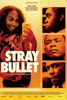 Stray Bullet