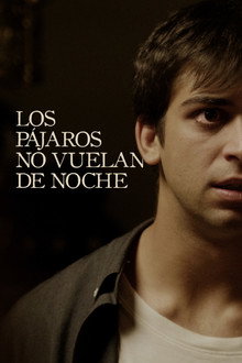 Los pájaros no vuelan de noche